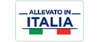 Allevato in Italia