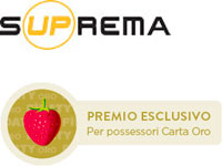 PRISMALUX SRL
