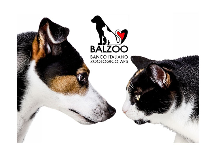 Balzoo