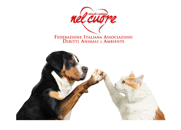 immagine di cane e gatto