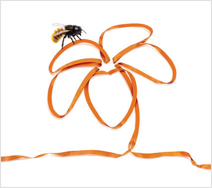 TUTELIAMO LA BIODIVERSITA’ CON 3BEE