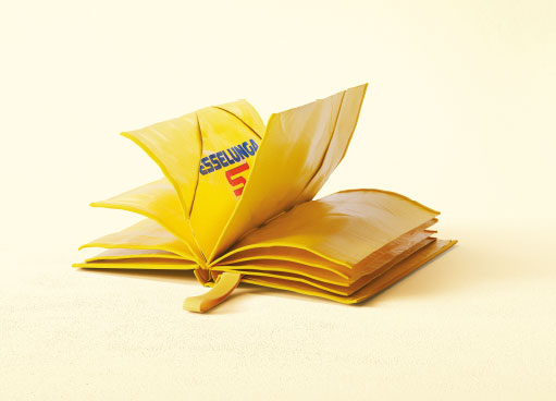 libro decorativo con logo Esselunga