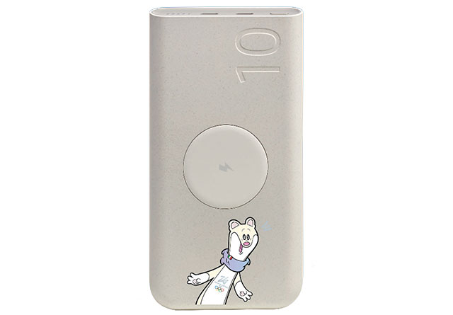 immagine battery pack