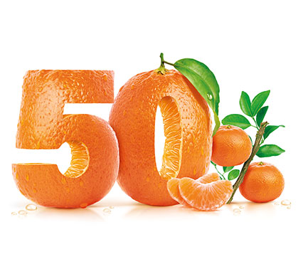 Grandi Marche al 50%